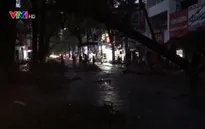Cần Thơ: Cây cổ thụ gãy đổ, cả tuyến phố mất điện