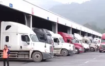 Tích cực gỡ khó cho xuất khẩu nông lâm thủy sản Việt Nam