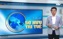 Làm thế nào để nâng cao chất lượng nguồn nhân lực về sở hữu trí tuệ?