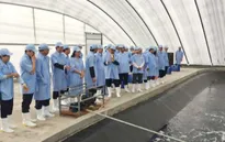 Đạt chuẩn an toàn dịch bệnh - Sự bứt phá của ngành tôm Việt