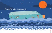 Ô nhiễm rác thải nhựa: “Sự trả thù” của những thứ bị vứt đi
