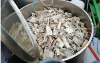 6 người Việt bị bắt giữ tại Nam Phi vì cáo buộc nấu cao hổ, sư tử