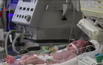 “Trái tim cho em” - 10 năm đồng hành hồi sinh những nhịp đập