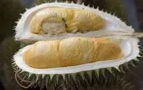 Máy bay hoãn chuyến, hành khách và phi hành đoàn cãi nhau to vì mùi sầu riêng
