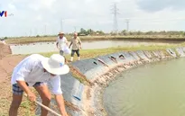 Nhiều chuyển biến tích cực trong thích ứng với biến đổi khí hậu ở ĐBSCL