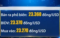 Tỷ giá trung tâm tiếp tục tăng 4 đồng
