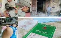 Hai vợ chồng đớn đau trước cảnh một con mắc bệnh thiếu máu, một con máu khó đông
