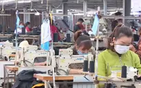 Doanh nghiệp dệt may đẩy mạnh thiết kế, chiếm lĩnh thị trường nội địa