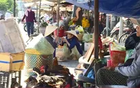 Tăng cường ngăn chặn ngăn chặn tình trạng nhập lậu gia cầm dịp cuối năm
