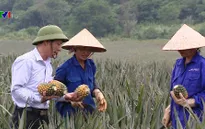 Xuất khẩu nông sản lập kỷ lục mới