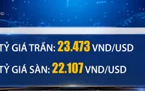 Tỷ giá trung tâm tăng mạnh, các ngân hàng đồng loạt tăng giá USD
