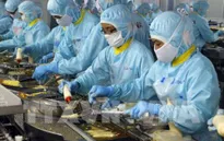 Ngành thủy sản đầu tư vào chất lượng để nâng cao giá trị xuất khẩu