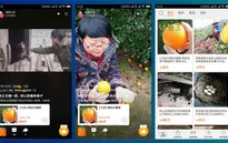 Livestream - Phương thức bán hàng mới của nông dân Trung Quốc