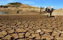 Khai mạc hội nghị Liên Hợp Quốc về biến đổi khí hậu (COP 24)