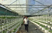 Tiếp tục cắt giảm thủ tục hành chính thu hút đầu tư nông nghiệp