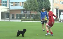 "Người bạn nhỏ" của ĐT bóng đá nữ U13