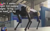 Thú vị robot 4 chân phi được như ngựa