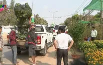 Chợ hoa Tết ở Phnom Penh, Campuchia