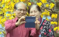 TP.HCM: Rộn ràng sắc hoa xuân tại công viên Tao Đàn