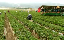 Trung Quốc đẩy mạnh mua đất nông nghiệp ở nước ngoài