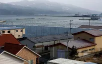 Nhật Bản: Sức sống trở lại Fukushima 7 năm sau thảm họa kép