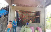 Thương bé 8 tuổi mỗi lần đứt tay là đi viện