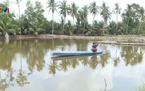 Thiếu nước mặn, người dân Bạc Liêu mua nước biển nuôi tôm