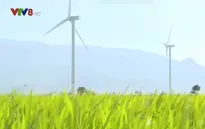 Xây dựng Ninh Thuận thành trung tâm năng lượng tái tạo cả nước