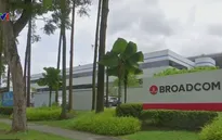 Mỹ chặn thương vụ Broadcom thâu tóm Qualcomm