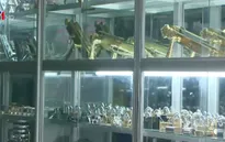 Khóa Minh Khai: Cú vấp của một thương hiệu