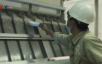 Gạo ST24 đạt chứng nhận chuẩn hữu cơ quốc tế