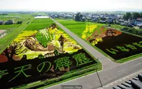 Ngỡ ngàng với những bức vẽ khổng lồ trên đồng lúa tại Nhật Bản