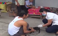 Quảng Ngãi: Ngăn chặn chó dại cắn chết người