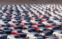 Ô tô nhập khẩu giảm mạnh về cả lượng và giá trị