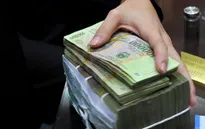 Đắk Nông: Bắt giữ Tổ trưởng Tổ vay vốn tín dụng chính sách xã vì tội lừa đảo chiếm đoạt tài sản