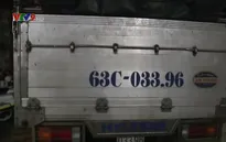 Phát hiện, xử lý phương tiện chở động vật không rõ nguồn gốc ở TP.HCM