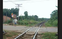 Đề xuất nâng cấp 100 đường ngang trên tuyến đường sắt Bắc - Nam