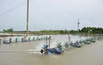 Kiên Giang sẽ xây dựng khu công nghệ cao phát triển ngành tôm