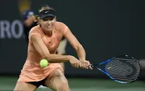 Đơn nữ Indian Wells: Sharapova dừng bước ngay ở vòng 1