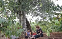 Việc tử tế: Cô gái Ba Na cưu mang hai em nhỏ