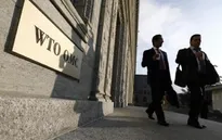 WTO cảnh báo các biện pháp trả đũa thương mại