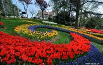 Rực rỡ Lễ hội hoa Tulip ở Thổ Nhĩ Kỳ