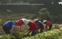 Hiệu quả từ mô hình sản xuất chè an toàn ở Thái Nguyên