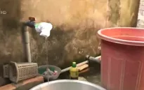 Nhiều tỉnh Đồng bằng sông Cửu Long "khát" nước sạch trầm trọng