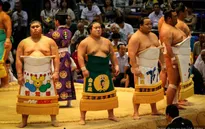 Hàng nghìn người tham dự Lễ hội đấu vật Sumo tại Nhật Bản