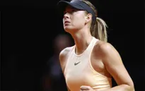 Maria Sharapova dừng bước ngay tại vòng 1 Stuttgart Mở rộng 2018