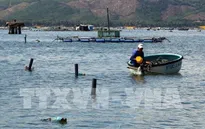 Hội thảo phát triển nuôi tôm bền vững