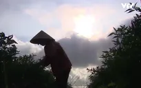 Cặp lá yêu thương: Tấm lòng của mẹ