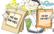Cử nhân thất nghiệp - Những con số báo động