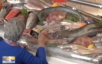 Thủy sản Việt Nam chỉ có thể xuất khẩu khi có nguồn gốc rõ ràng